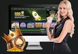 1qq88
